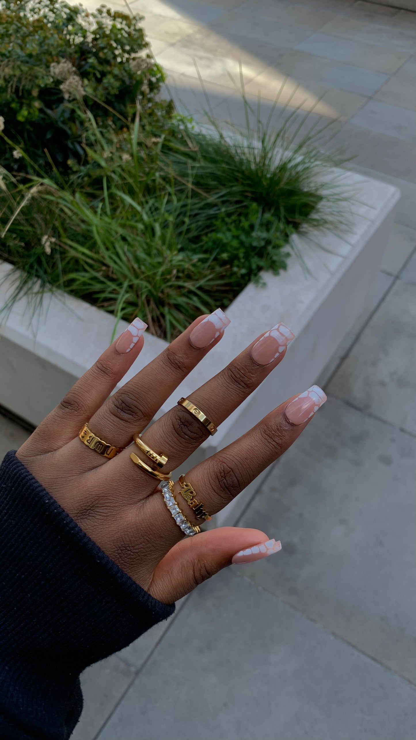 Killer Croc Press On Nails